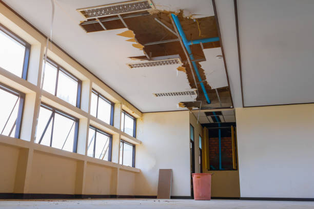 Best Ceiling water damage repair  in Kean University, NJ