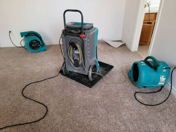 Best 24/7 water damage repair  in Kean University, NJ