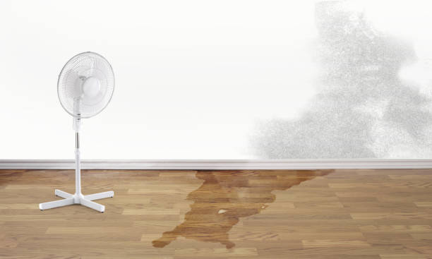 Best Flood restoration services  in Kean University, NJ