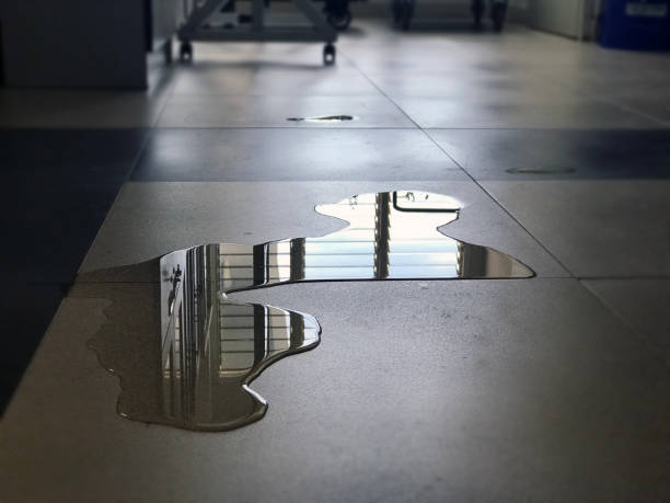 Best Water damage restoration insurance claims  in Kean University, NJ