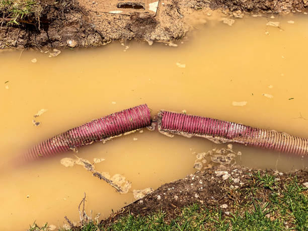 Best 24/7 water damage repair  in Kean University, NJ